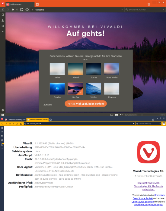 Vivaldi Web-Browser